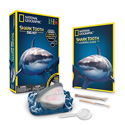 National Geographic 80473 Shark Teeth Dig Kit
