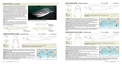 Complete Guide to Sharks Worldwide
