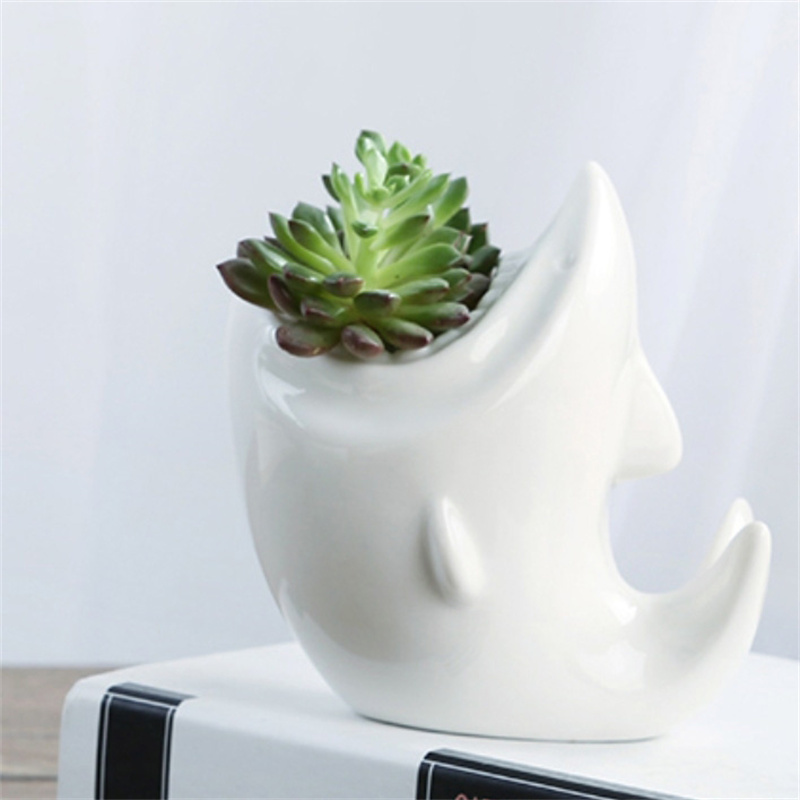 Shark Ceramic Flower Pot with Organizer