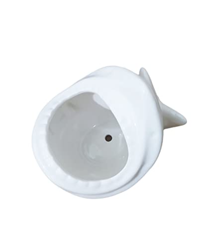 Shark Ceramic Succulent Pots (White)