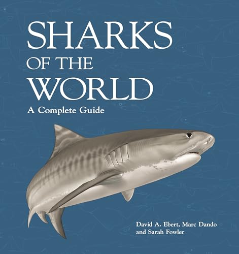Complete Guide to Sharks Worldwide