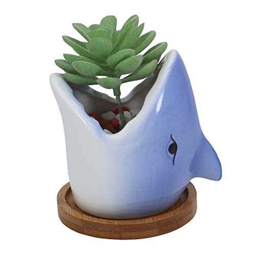 Fish-Shaped Shark Planter for Indoor Plants