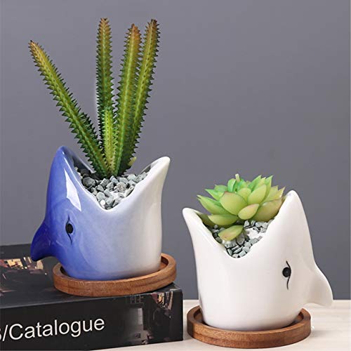 Fish-Shaped Shark Planter for Indoor Plants
