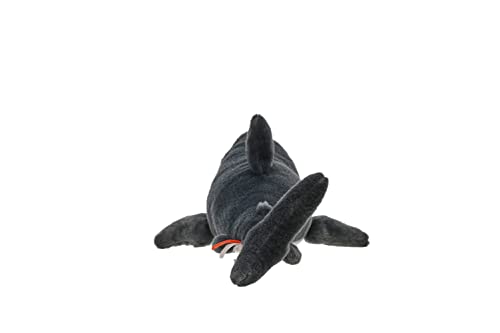 15 Inch Mini Great White Shark Plush