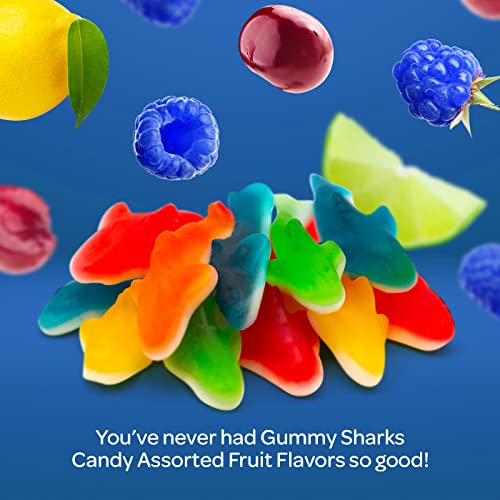 Assorted Fruit Flavored Gummy Shark Candy (11oz)