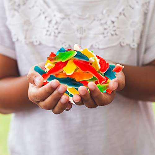 Assorted Fruit Flavored Gummy Shark Candy (11oz)