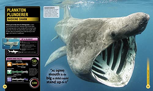 Shark Encyclopedia & Deep Sea Creatures
