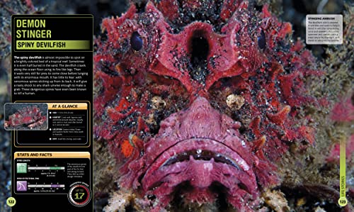 Shark Encyclopedia & Deep Sea Creatures