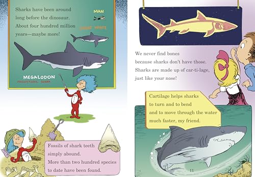 Shark Learning Book: Hark, a Shark!