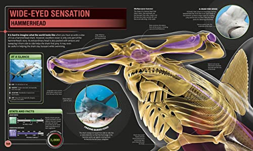 Shark Encyclopedia & Deep Sea Creatures