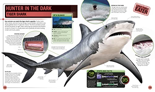 Shark Encyclopedia & Deep Sea Creatures