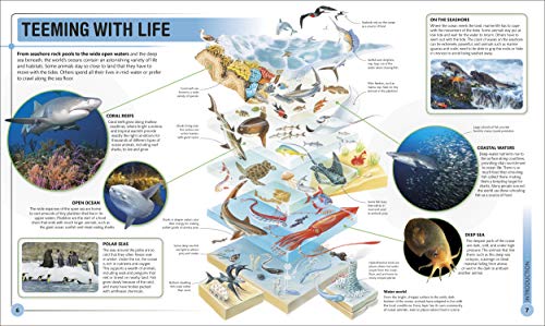 Shark Encyclopedia & Deep Sea Creatures
