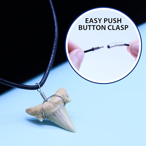 Shark Tooth Necklaces for All Ages