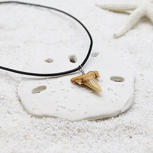 Shark Tooth Necklaces for All Ages