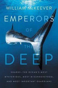Guardians of the Deep: Sharks Unveiled and Celebrated