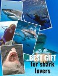 Shark Travel Mug - Stainless Steel Coffee Cup
