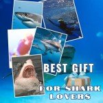 Shark Travel Mug - Stainless Steel Coffee Cup