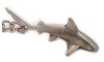 Big Blue Reef Shark Keychain Pewter