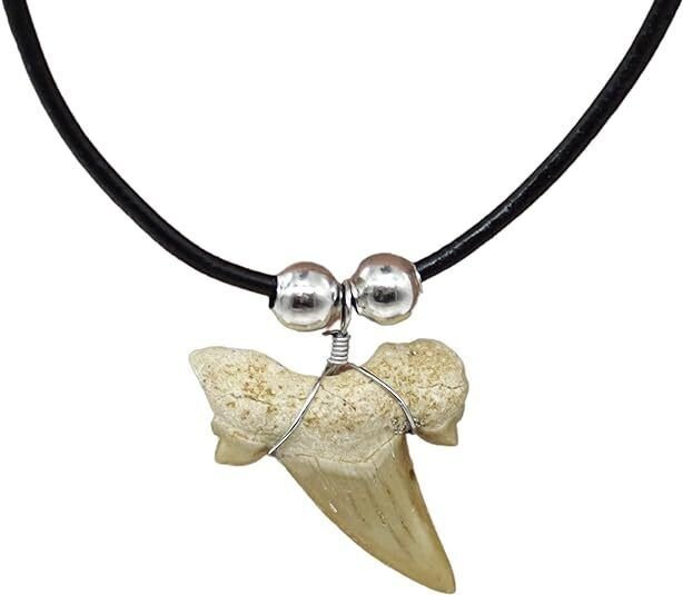 Shark Tooth Necklaces for All Ages