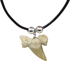 Shark Tooth Necklaces for All Ages