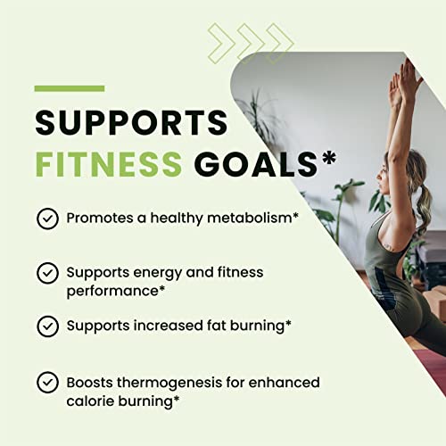 Green Tea Weight Loss Pills | Belly Fat Burner, Metabolism Booster, & Appetite Suppressant for Women & Men | 45% EGCG | with Green Coffee Bean Extract | Vegan, Gluten-Free Supplement | 120 Capsules