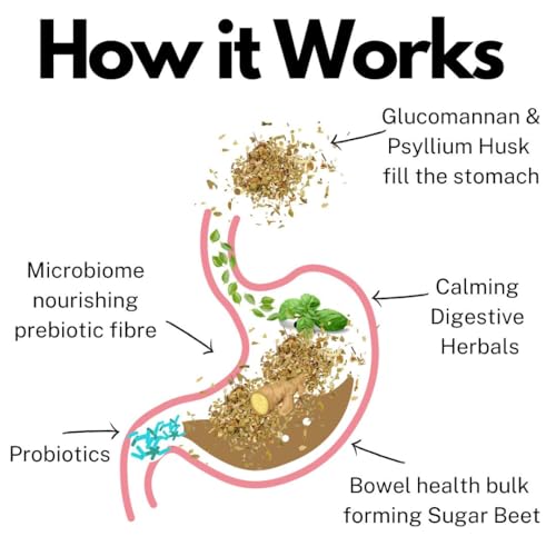 Powerful Weight Loss Supplement for Optimal Gut Health