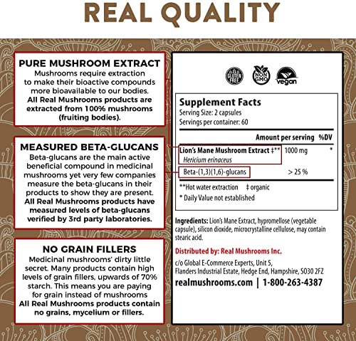 Lions Mane Mushroom Capsules - Boost Cognitive Health