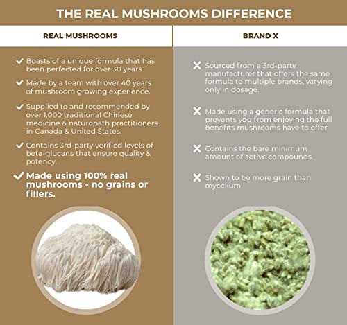 Lions Mane Mushroom Capsules - Boost Cognitive Health