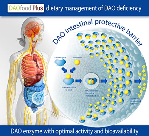 DAOfood Plus: Dietary Management for DAO Deficiency