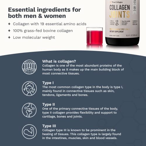 Berry Flavored Collagen Peptides with Turmeric & Green Tea - 100% Natural, High Absorption