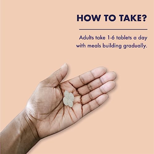 High Potency MSM for Weight Loss - 180 Tablets