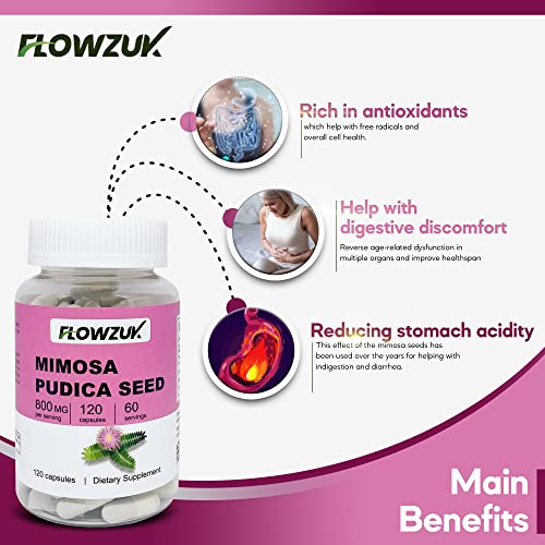 Mimosa Pudica Seed Capsules - Digestive & Intestinal Health