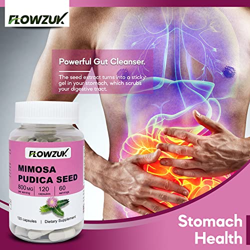 Mimosa Pudica Seed Capsules - Digestive & Intestinal Health