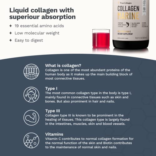 Natural Berry Flavored Marine Collagen Peptides - 500ml