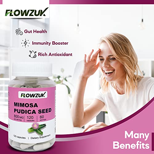 Mimosa Pudica Seed Capsules - Digestive & Intestinal Health