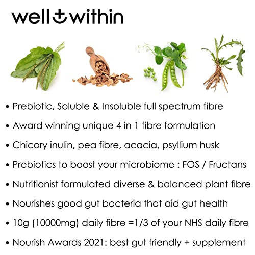 Gut Health Fibre Powder: 10g Prebiotic Supplement
