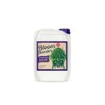 Xpert Nutrients Bloom Booster - Maximize Flower Growth