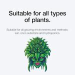 Xpert Nutrients Bloom Booster - Maximize Flower Growth