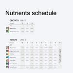 Xpert Nutrients Bloom Booster - Maximize Flower Growth