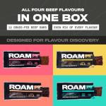ROAM Keto Protein Bars - Low Calorie Snack Bundle
