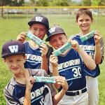 G2G Peanut Butter Chocolate Chip Protein Bars