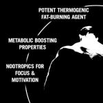 Animal Cuts Pulver Orange Mango – 42 Servings for Weight Loss