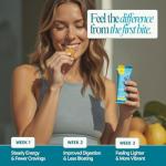 LyfeFuel Vegan High Protein Meal Replacement Bars