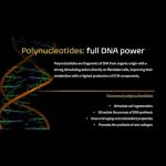 Exotech Gel - Hydrating Anti-Aging Peptide Serum