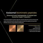 Exotech Gel - Hydrating Anti-Aging Peptide Serum