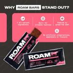 ROAM Keto Protein Bars - Jalapeño Chilli Flavor