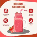 SlimFast Strawberry Blueberry Raspberry Meal Shake Bundle