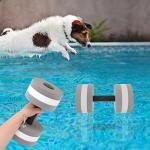 Water Dumbbells for Pool Workouts – 2 Pack