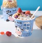 Freeze-Dried Yellow Peach Strawberry Cereal Pack