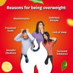 Nutrisslim OK!Fatburn: Carb Blocker Weight Loss Supplement